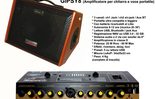 Amplificatore chitarra GIPSY8 AudiodesignPro